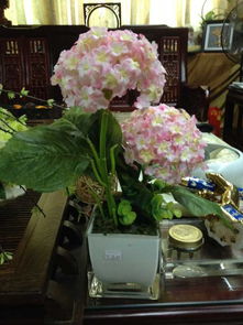 內(nèi)購(gòu)盛宴 日用百貨超值精選，禮品公司大甩賣等你來(lái)！